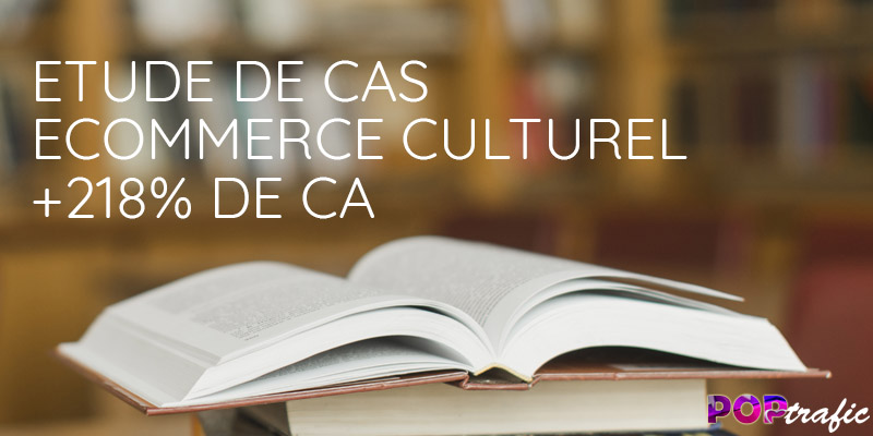 Digital Marketing - Site Boutique culturel, Etude de cas (+218% de CA en 1 an)